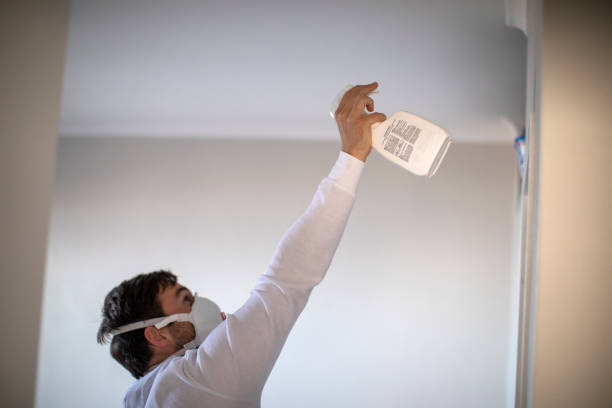 Best Mold Remediation Experts  in Meiners Oaks, CA