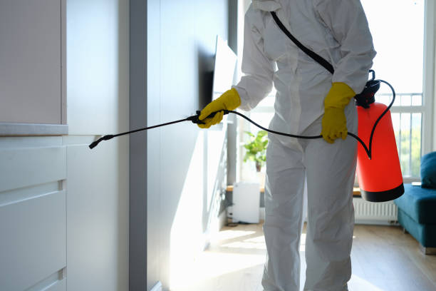Best Office Mold Removal Services  in Meiners Oaks, CA